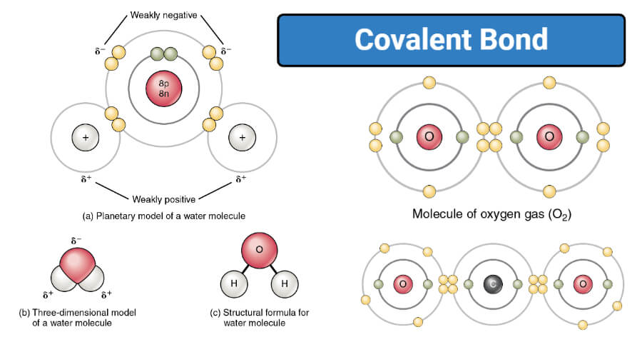 Covalent Vs Ionic Bond Definition 11 Key Differences Examples