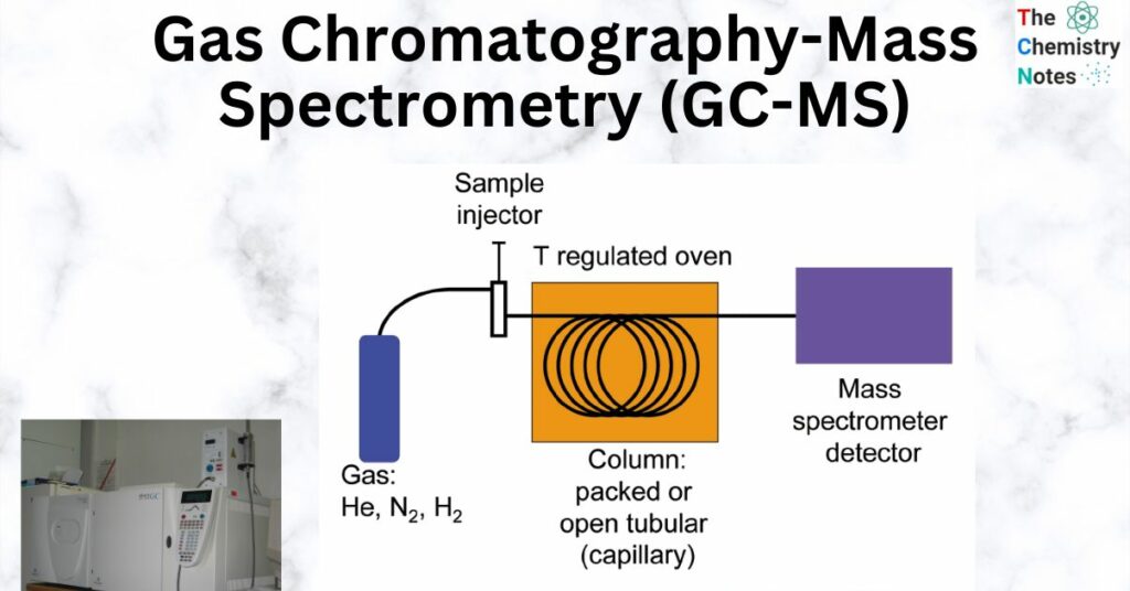 Gas Chromatography Mass Spectrometry GC MS