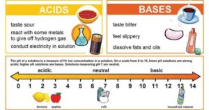Differences between Acid and Base