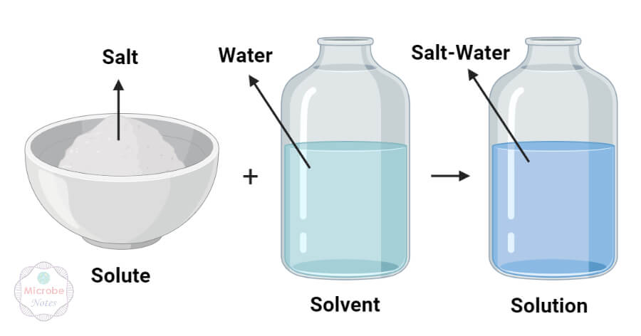 Differences between Solute and Solvent (Solute vs Solvent)