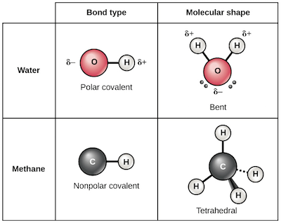 Polar and non-polar covalent bonds