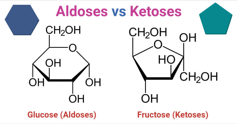 Aldoses vs Ketoses