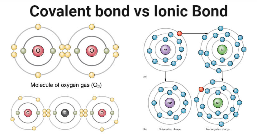 Covalent vs Ionic Bond