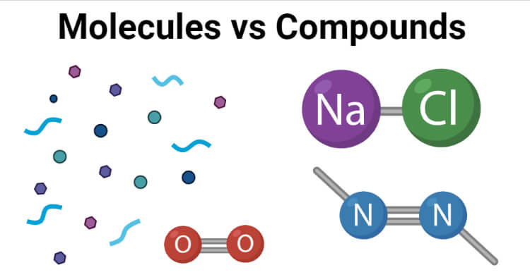 Molecules vs Compounds
