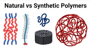 Natural vs Synthetic Polymers