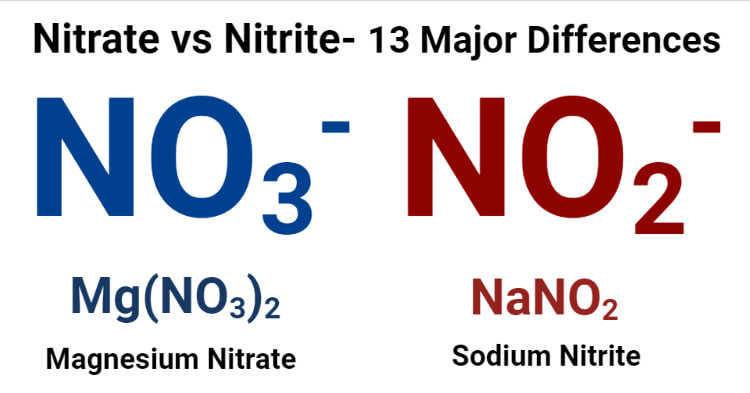 Sodium nitrate formula