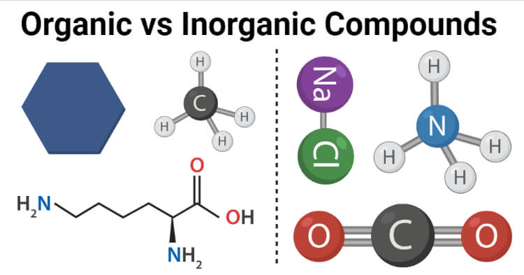 Organic vs Inorganic Compounds