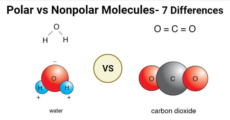 Polar vs Nonpolar Molecules