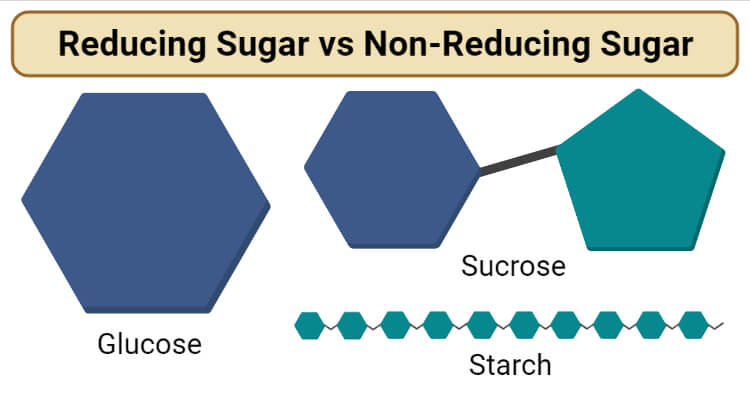 Reducing Sugar vs Non-Reducing Sugar