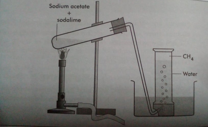 Laboratory preparation of methane from the sodium salt of acetic acid