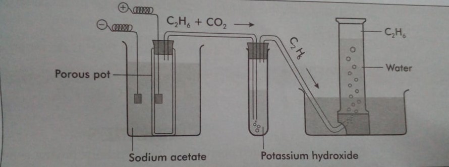 Laboratory preparation of ethane from the sodium salt of acetic acid