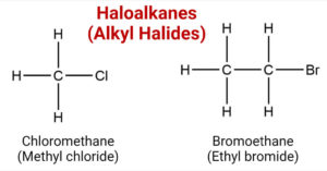 Haloalkanes (Alkyl Halides)
