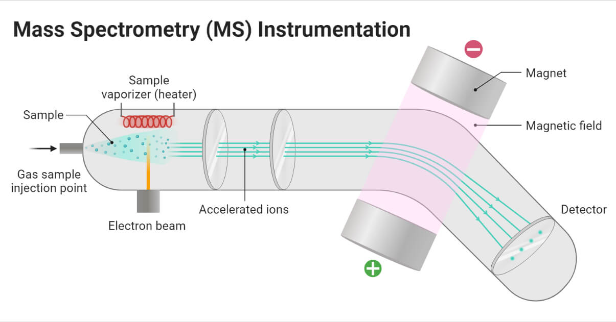 Instrumentation of Mass Spectrometry (MS)