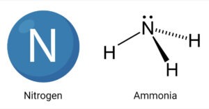 Nitrogen and its Compounds (Ammonia)