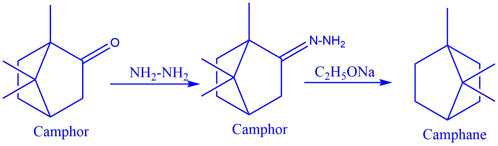 Reduction of camphor to camphane