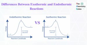 Differences Between Exothermic and Endothermic Reactions