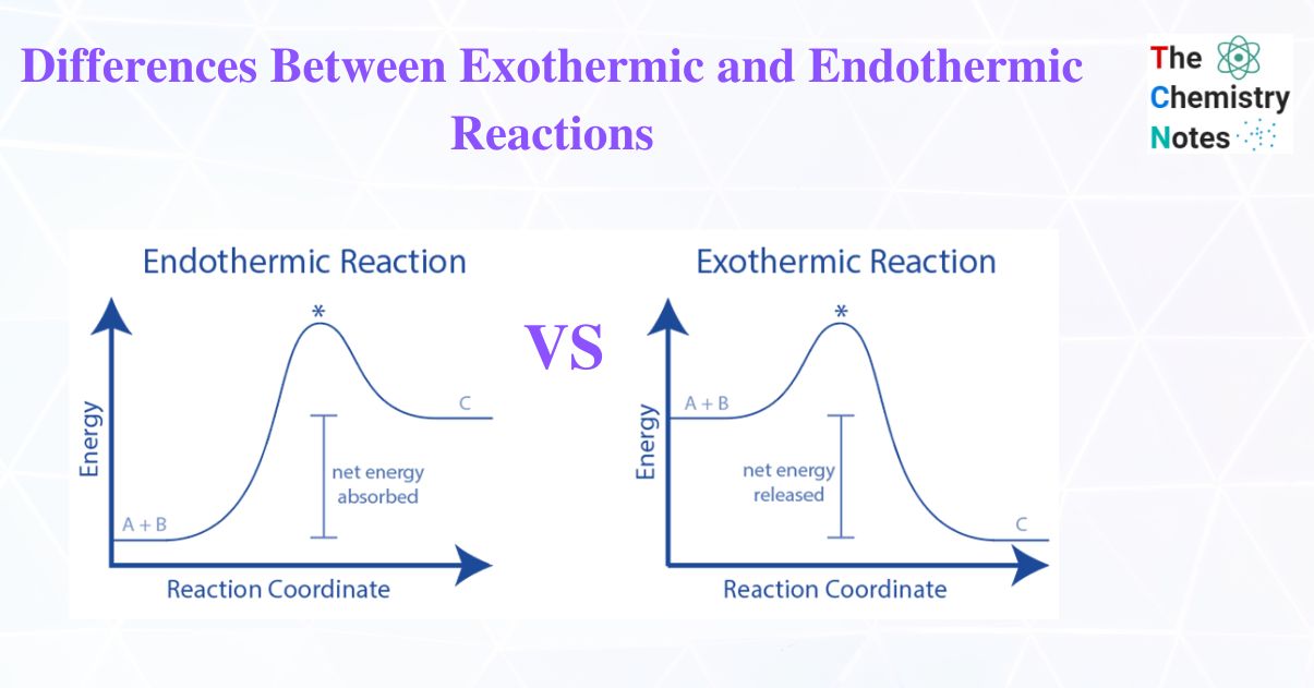 Differences Between Exothermic and Endothermic Reactions