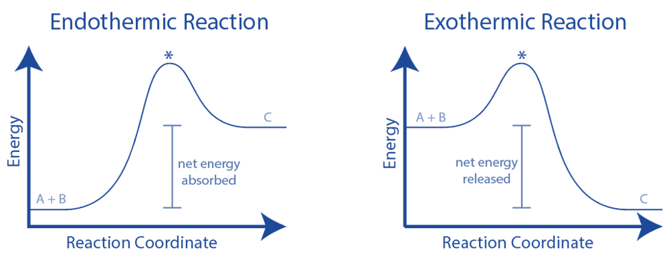 Energy Level Diagram (Endothermic and Exothermic)