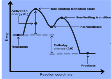 Energy Diagram of Multi step reactions