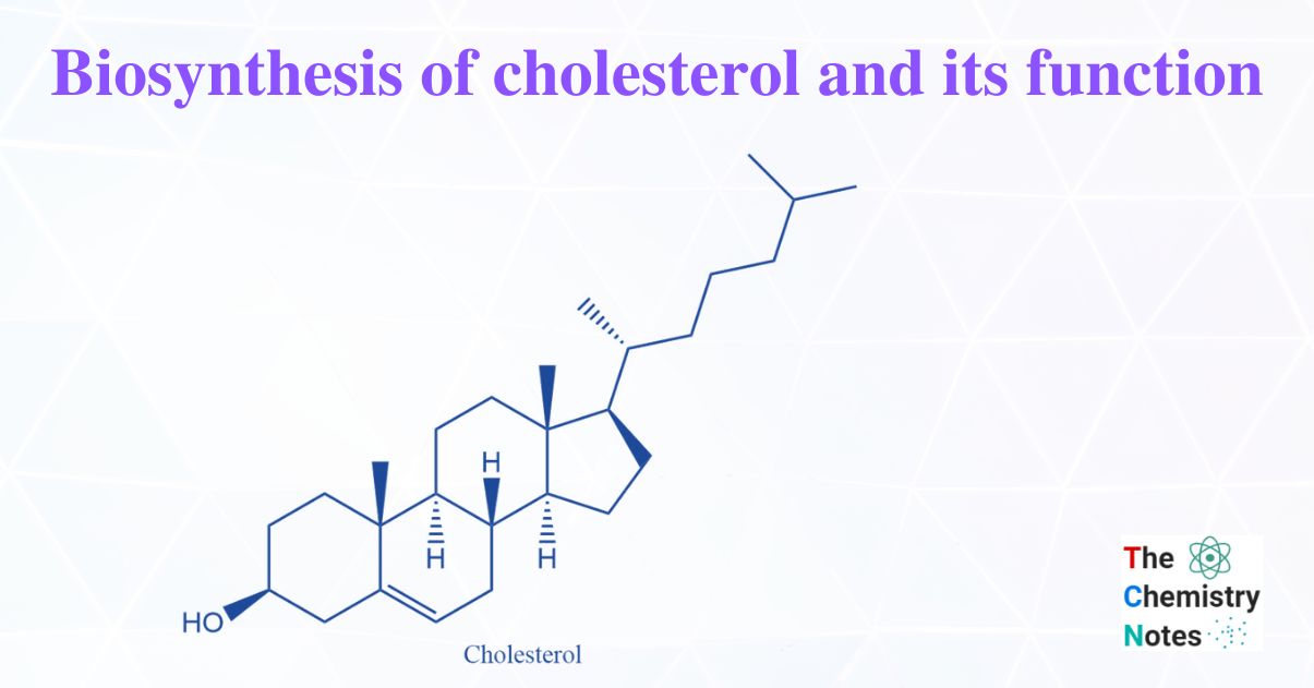 Biosynthesis of cholesterol and its function