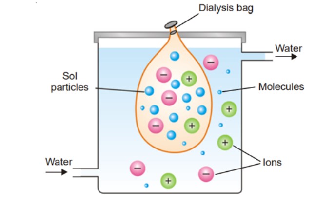 Dialysis process (Purification of colloids)