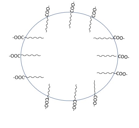Formation of micelle (At critical micelle concentration)