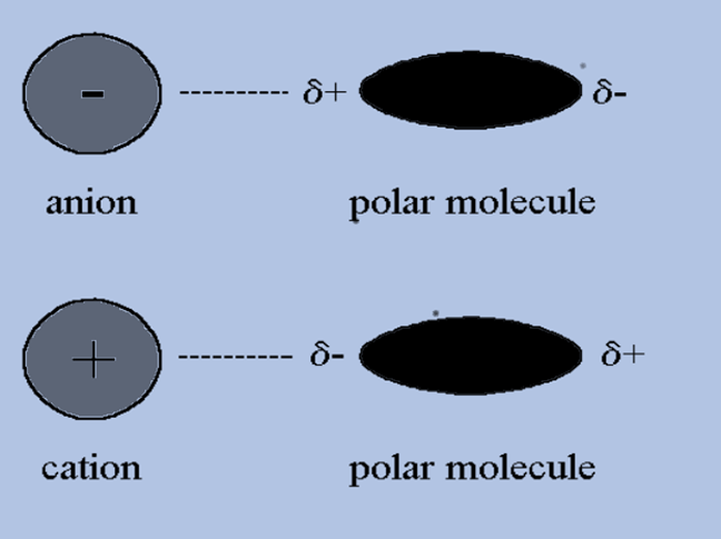 Ion-induced Dipole Forces