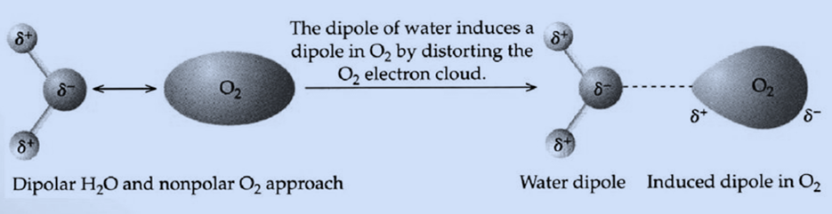Dipole-Induced Dipole Forces