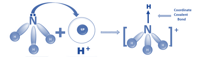 Co-ordinate bonding of Ammonium ion