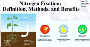 Nitrogen Fixation Definition, Methods, and Benefits