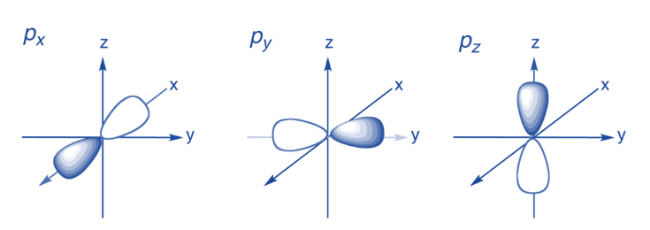 (p-orbital Shapes of atomic Orbitals)
