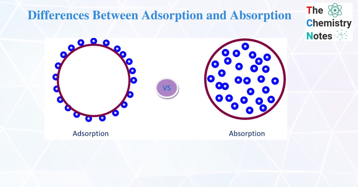 Difference Between Adsorption and Absorption