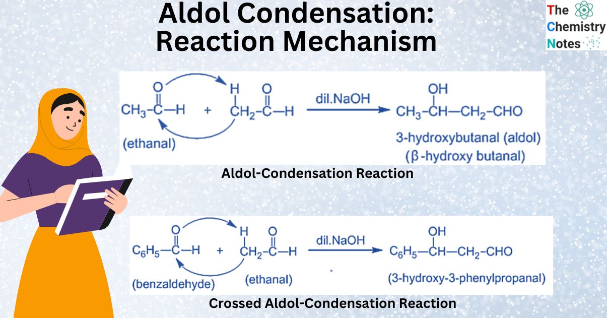 Aldol Condensation Reaction Mechanism