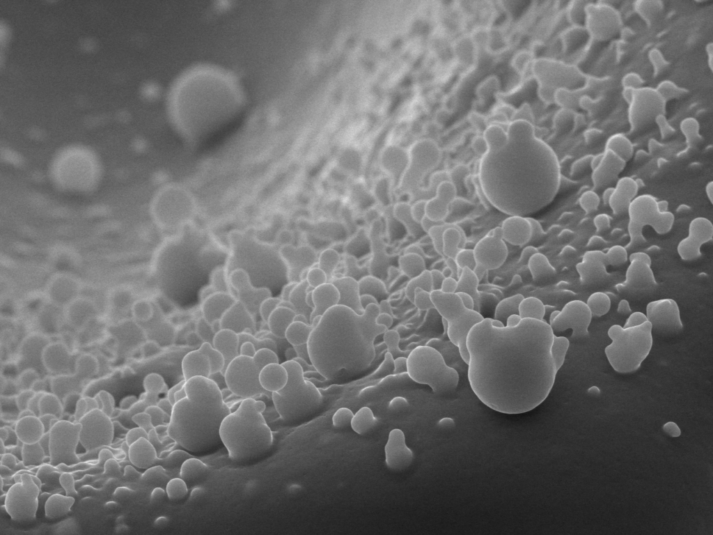 Selenium Nanoparticles (Nanochemistry)