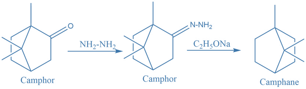 Synthesis of camohor from camphane