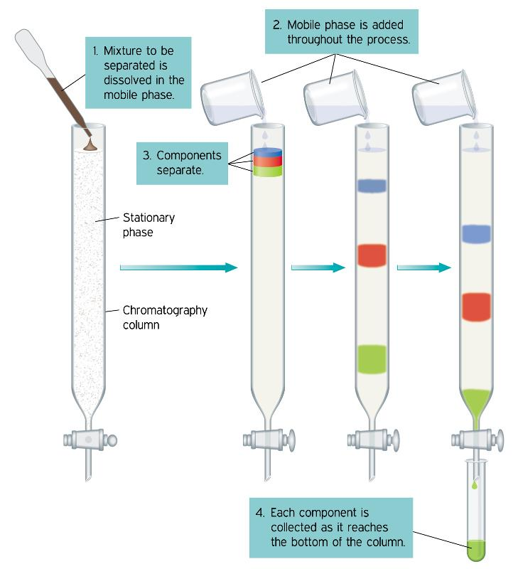 Column Chromatography Procedure
