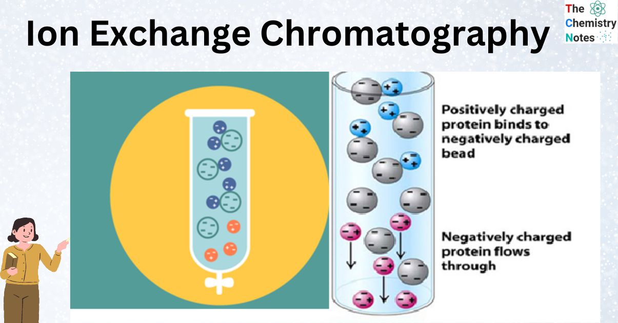 Ion Exchange Chromatography: Principle, Types, Procedure, Applications