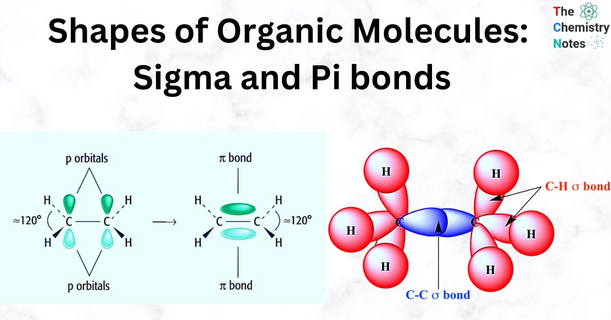 Shapes of Organic Molecules: Sigma and Pi bonds