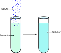 Solute and Solvent in Solution