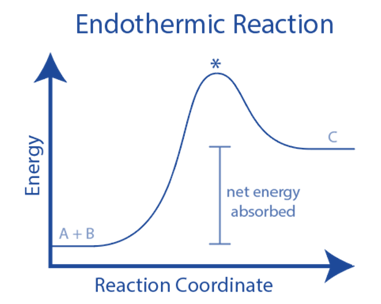 Energy Profile of Endothermic Reaction