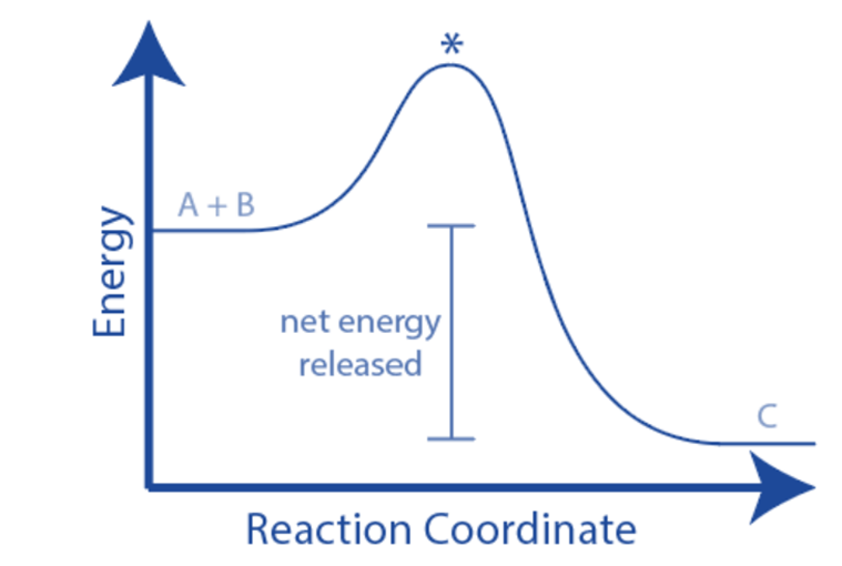 Energy Profile of Exothermic Reaction