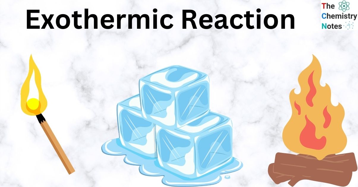 Exothermic reactions with Important Examples