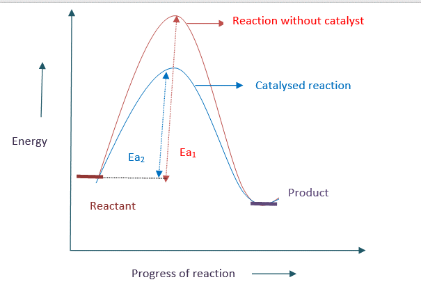 Energy profile diagram for catalysed and uncatalysed reaction 