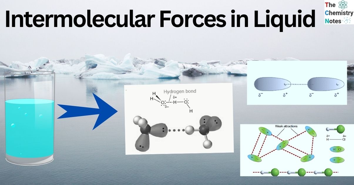 Intermolecular Forces in Liquid