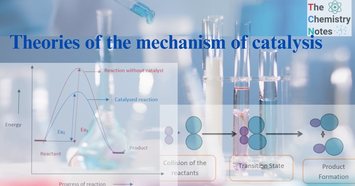 Mechanism of catalysis
