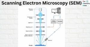Scanning Electron Microscopy (SEM)