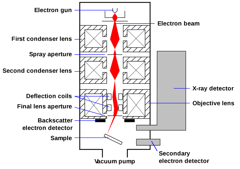 Instrumentation of Scanning Electron Microscopy [Image Source: Wikipedia]
