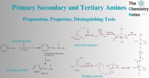 primary secondary and tertiary amines