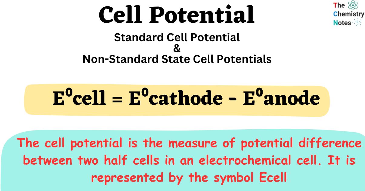 Cell Potential