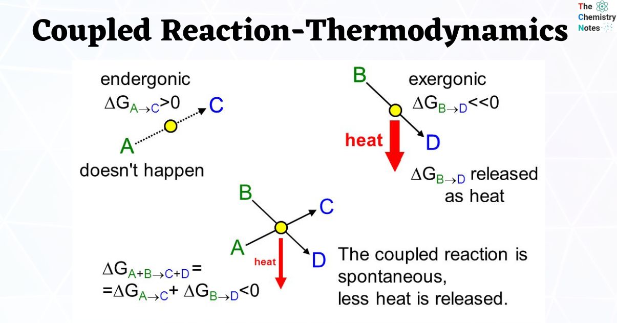 Coupled Reaction-Thermodynamics